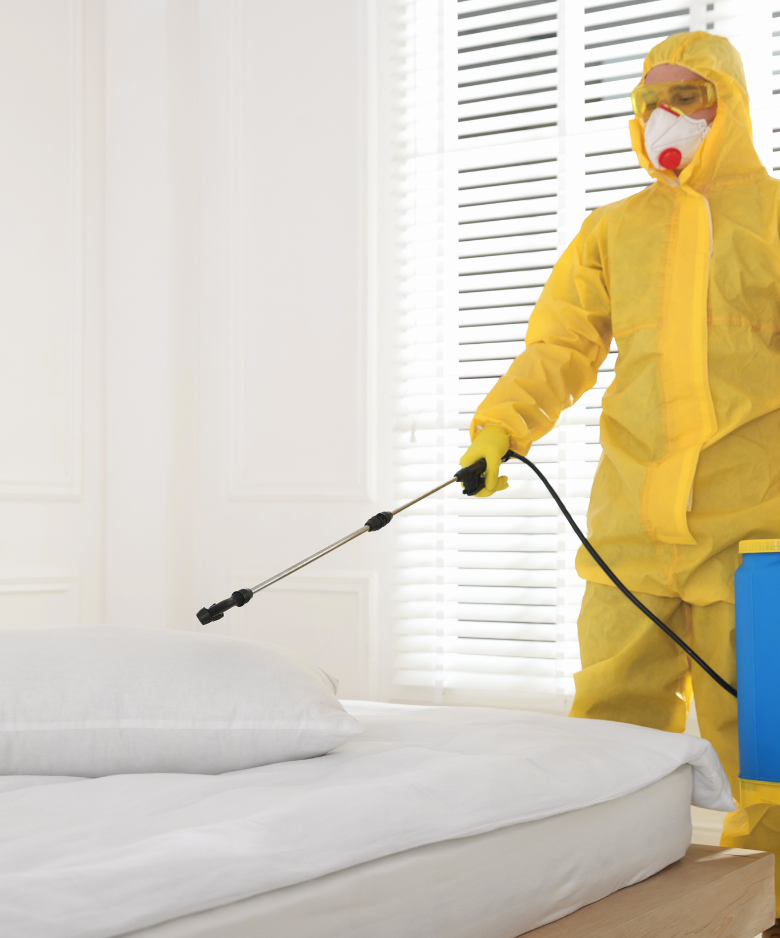 Professional Pest Control Team in Hewett